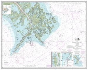 thumbnail for chart Mississippi River Delta;Southwest Pass;South Pass;Head of Passes,