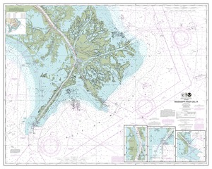 thumbnail for chart Mississippi River Delta;Southwest Pass;South Pass;Head of Passes
