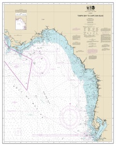 Tampa Bay to Cape San Blas thumbnail for chart Tampa Bay to Cape San Blas