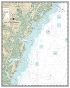 Tybee Island to Doboy Sound thumbnail for chart Tybee Island to Doboy Sound