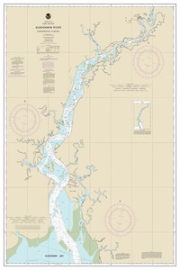 Kuskokwim Bay to Bethel thumbnail for chart Kuskokwim Bay to Bethel