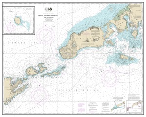 thumbnail for chart Unimak and Akutan Passes and approaches;Amak Island