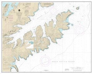 thumbnail for chart Beaver Inlet