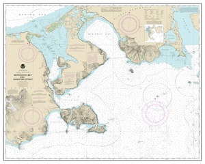 Morzhovoi Bay and Isanotski Strait thumbnail for chart Morzhovoi Bay and Isanotski Strait