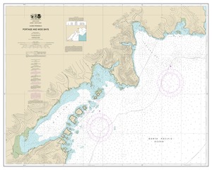 thumbnail for chart Portage and Wide Bays, Alaska Pen.