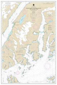 thumbnail for chart Unakwik Inlet to Esther Passage and College Fiord