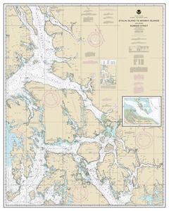 thumbnail for chart Etolin Island to Midway Islands, including Sumner Strait;Holkham Bay;Big Castle Island