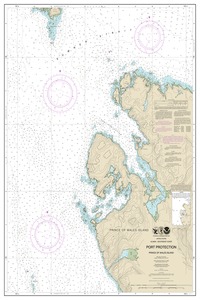 thumbnail for chart Port Protection, Prince of Wales Island