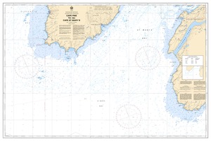 Cape Pine to / au Cape St Marys thumbnail for chart Cape Pine to / au Cape St Marys