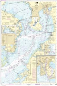 Tampa Bay Tide Chart