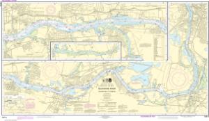 Delaware River Chart 12314