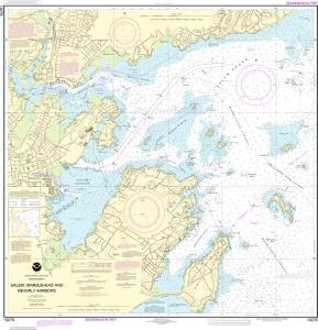 Nautical Charts Gov Viewer