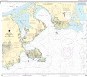 thumbnail for chart Morzhovoi Bay and Isanotski Strait