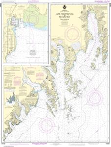 thumbnail for chart Cape Resurrection to Two Arm Bay;Seward