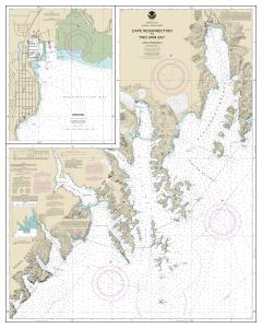 thumbnail for chart Cape Resurrection to Two Arm Bay;Seward