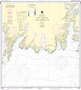 thumbnail for chart Point Elrington to Cape Resurrection