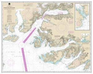 thumbnail for chart Prince William Sound-Port Fidalgo and Valdez Arm;Tatitlek Narrows,