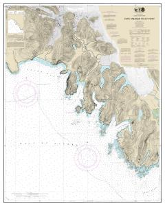 thumbnail for chart Cape Spencer to Icy Point