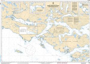 thumbnail for chart Queen Charlotte Strait, Eastern Portion/Partie Est