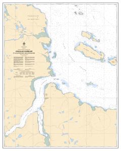 thumbnail for chart Douglas Harbour et les Approches/and Approaches