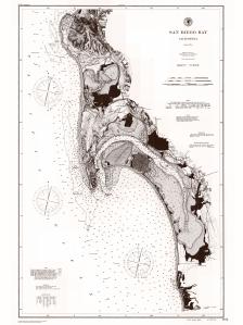 thumbnail for chart CA,1894, Navigation Chart of San Diego Bay